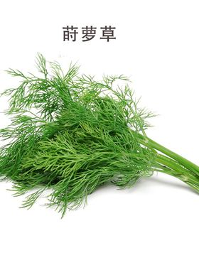 如何利用自家菜园的香草调制烧烤调料