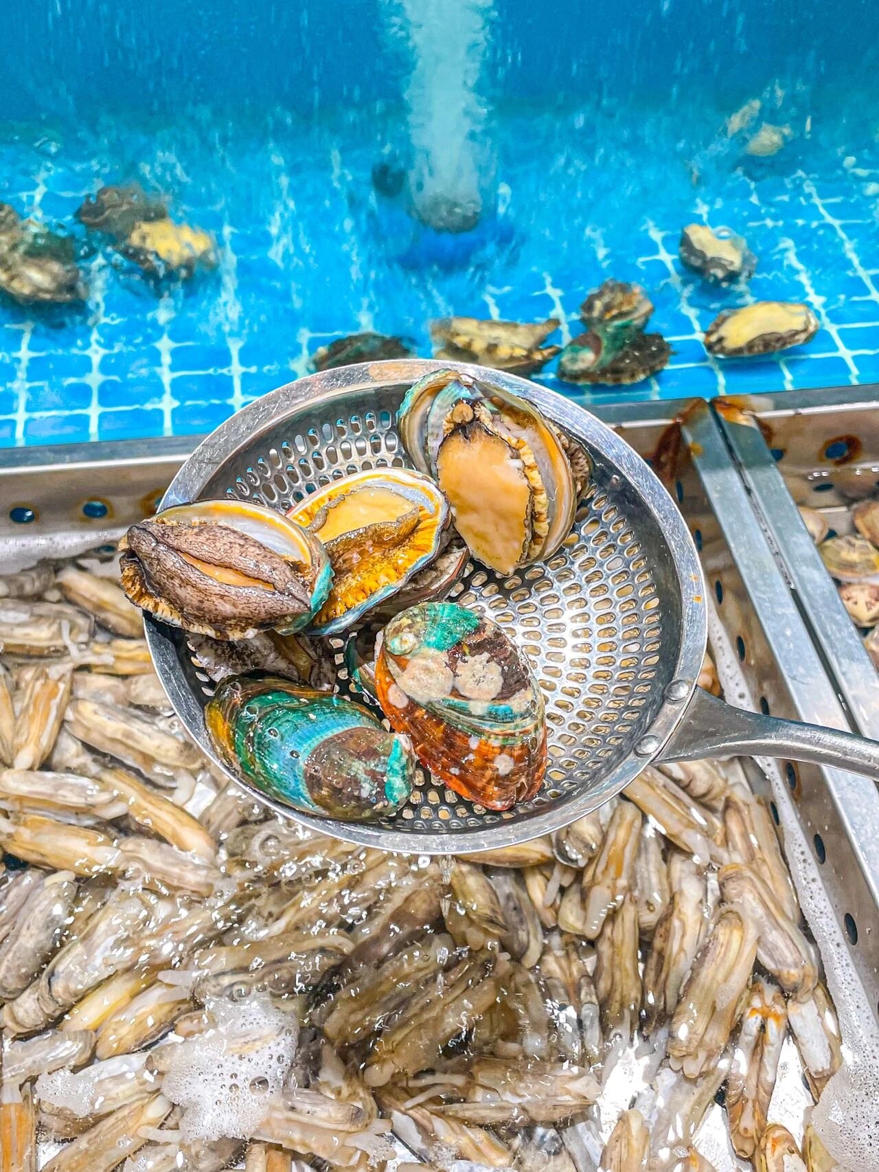 如何在家制作寿司自助餐